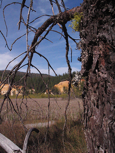 Image from Malakoff Diggins SHP