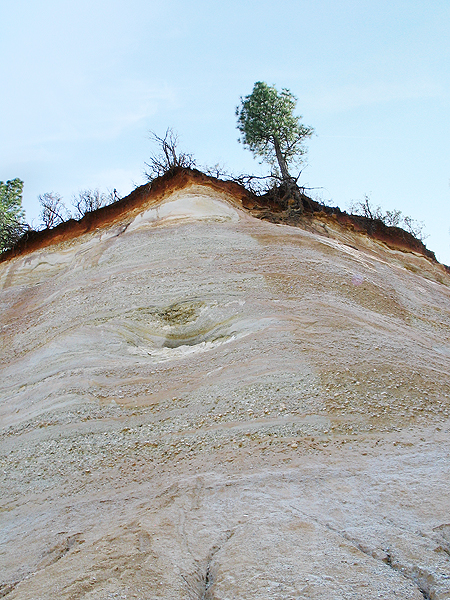 Image from Malakoff Diggins SHP