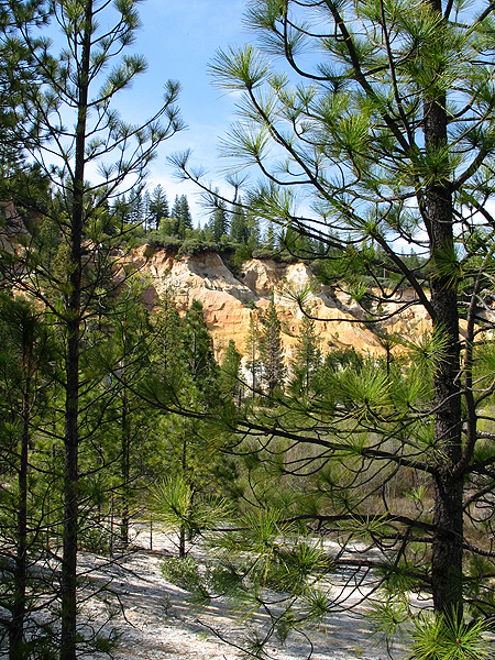 Image from Malakoff Diggins SHP