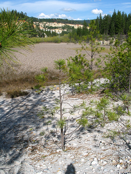 Image from Malakoff Diggins SHP