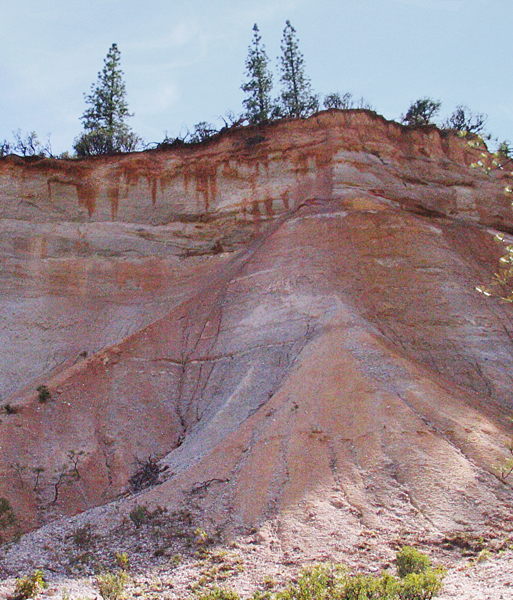 Image from Malakoff Diggins SHP