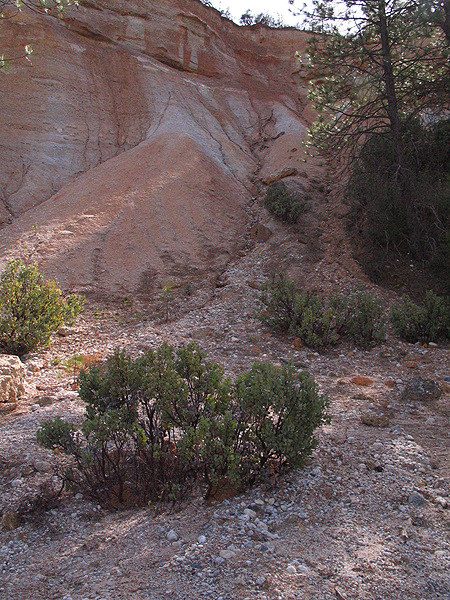Image from Malakoff Diggins SHP