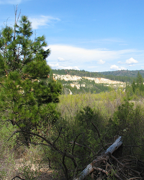 Image from Malakoff Diggins SHP