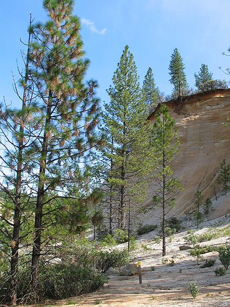 Image from Malakoff Diggins SHP