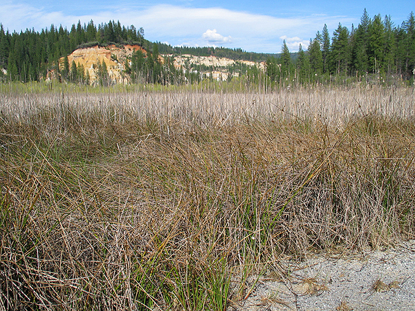 Image from Malakoff Diggins SHP