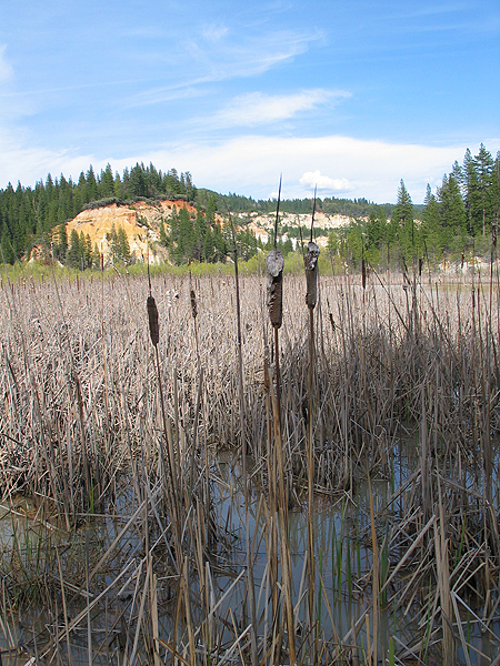 Image from Malakoff Diggins SHP