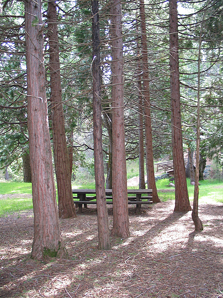 Image from Malakoff Diggins SHP