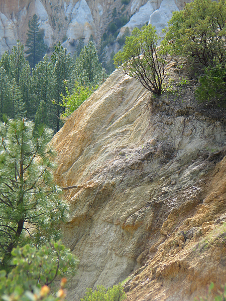 Image from Malakoff Diggins SHP