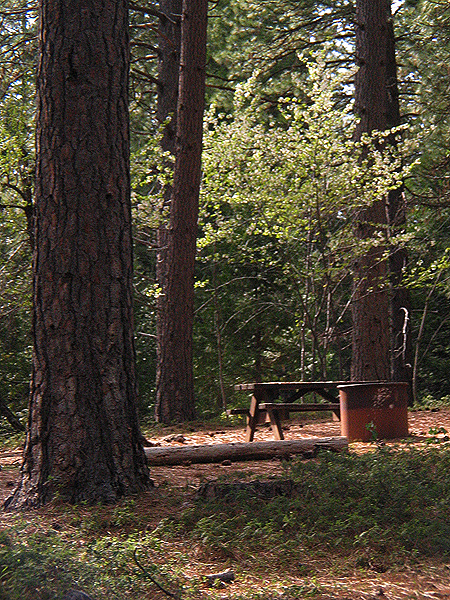 Image from Malakoff Diggins SHP