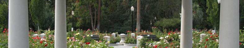 View of rose garden at the California State Capitol Museum Thumbnail: View of rose garden at the California State Capitol Museum