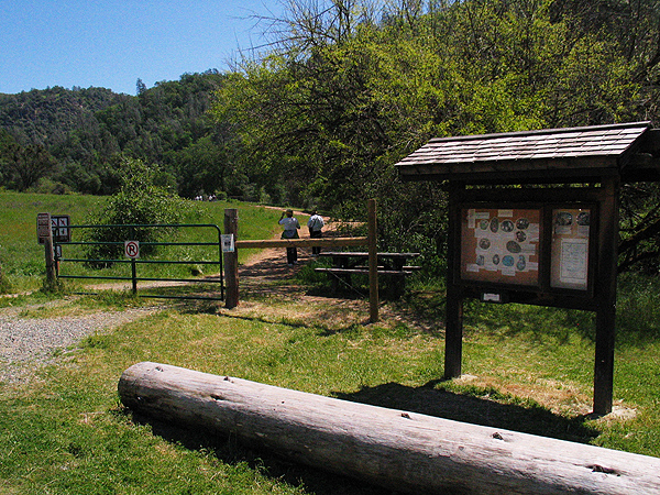 Image from South Yuba River SP