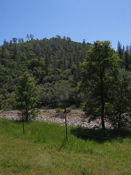 Image from South Yuba River SP