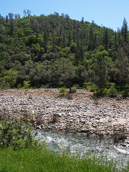 Image from South Yuba River SP