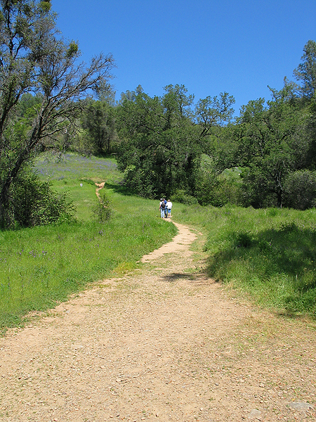Image from South Yuba River SP