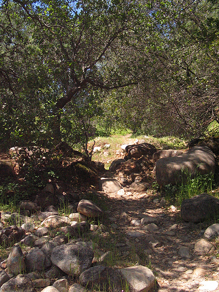 Image from South Yuba River SP