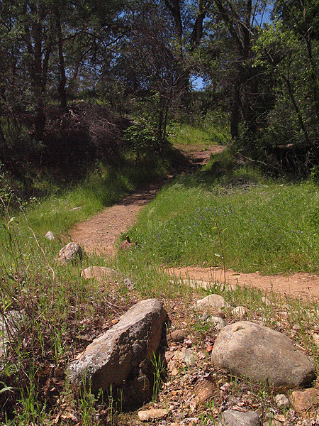 Image from South Yuba River SP