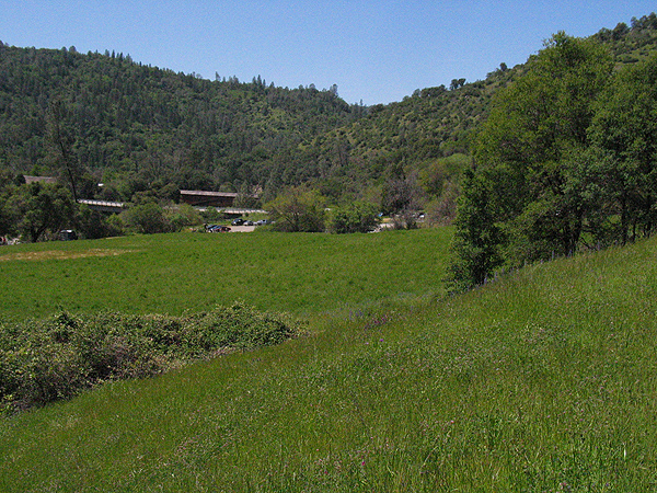 Image from South Yuba River SP
