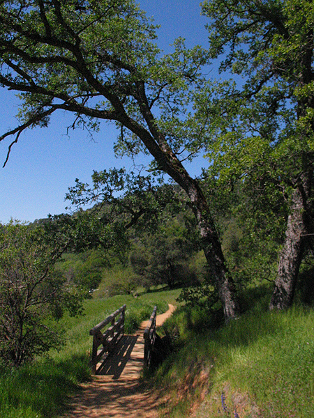 Image from South Yuba River SP
