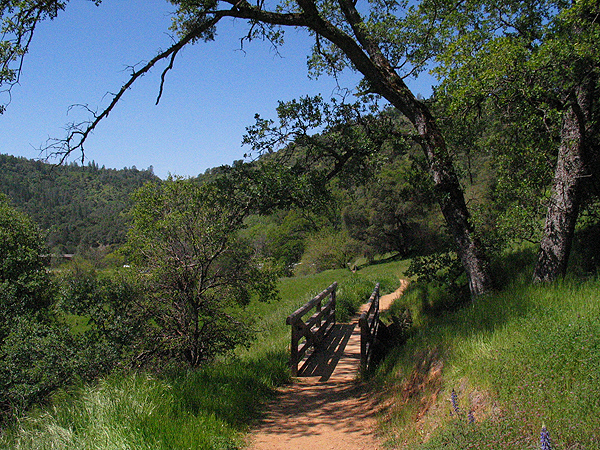 Image from South Yuba River SP