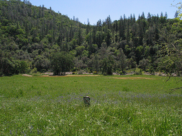 Image from South Yuba River SP