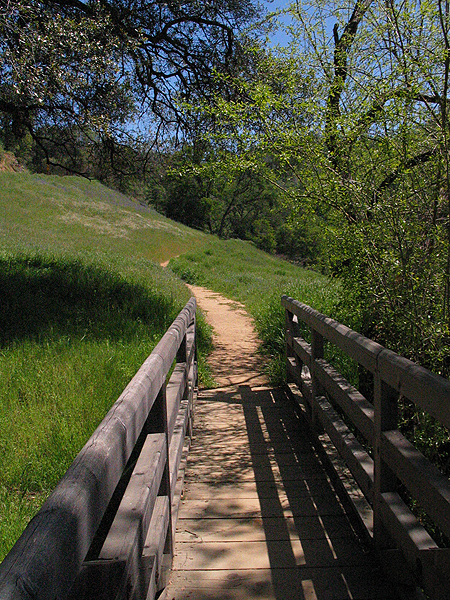 Image from South Yuba River SP