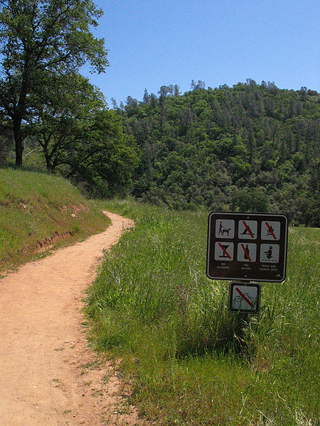 Image from South Yuba River SP