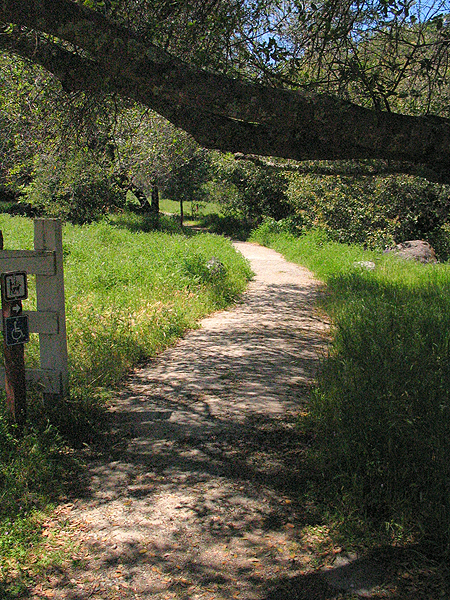 Image from South Yuba River SP