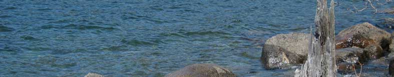 View of Donner Lake shoreline at Donner Memorial SHP Thumbnail: View of Donner Lake shoreline at Donner Memorial SHP