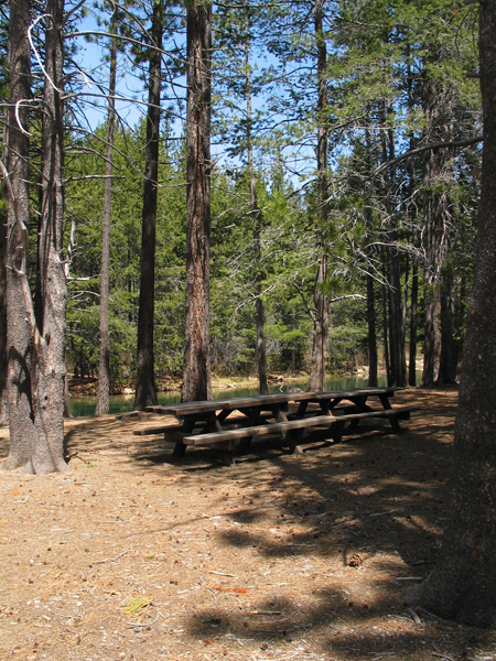 Image from Donner Memorial State Park