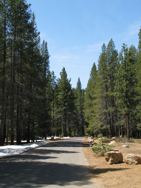 Image from Donner Memorial State Park