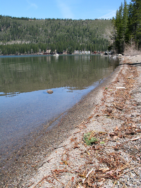 Image from Donner Memorial State Park