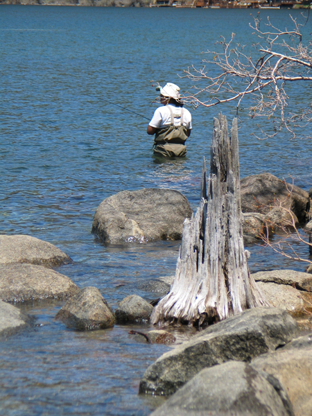 Image from Donner Memorial State Park