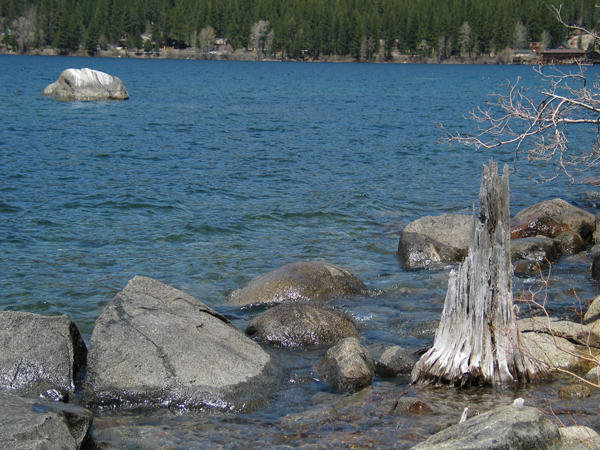 Image from Donner Memorial State Park