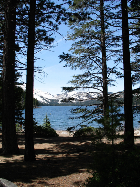 Image from Donner Memorial State Park