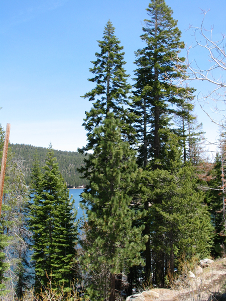 Image from Donner Memorial State Park