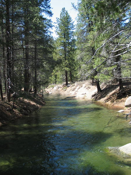 Image from Donner Memorial State Park