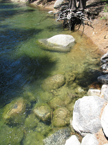 Image from Donner Memorial State Park