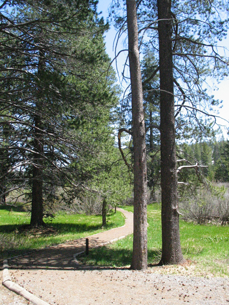 Image from Donner Memorial State Park