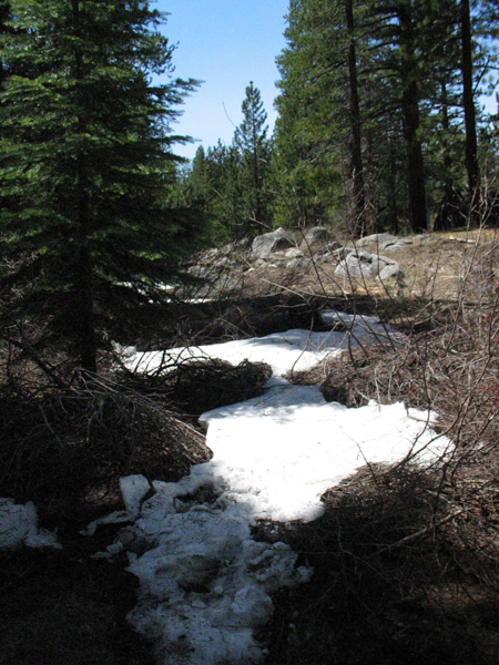 Image from Donner Memorial State Park