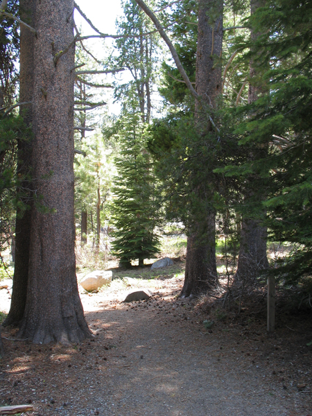 Image from Donner Memorial State Park