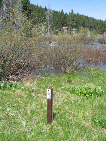 Image from Donner Memorial State Park