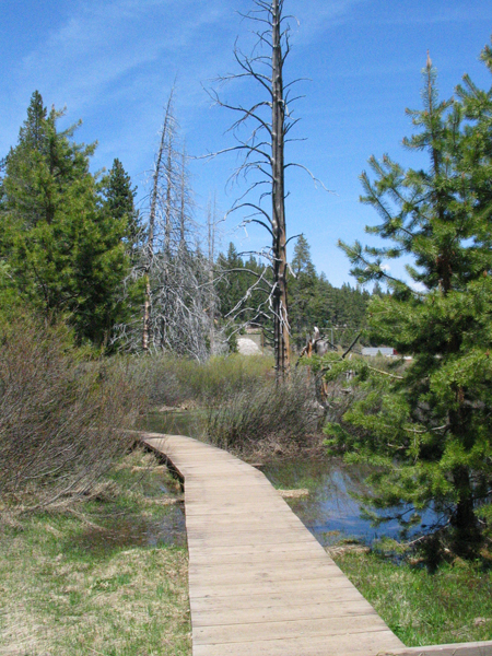 Image from Donner Memorial State Park