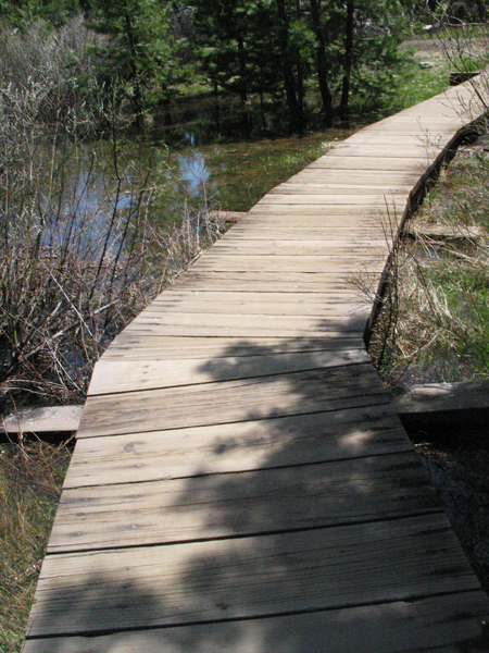 Image from Donner Memorial State Park