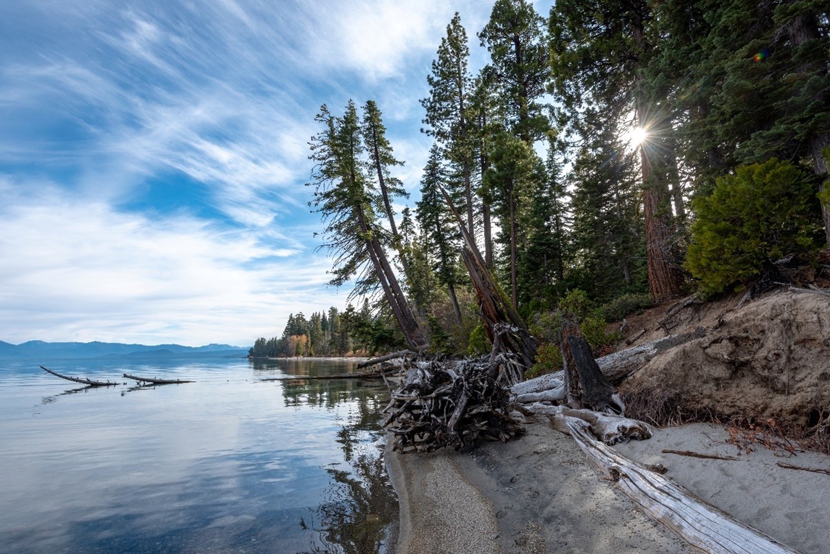 Edwin L. Z’berg Natural Preserve. Photo from California State Parks.