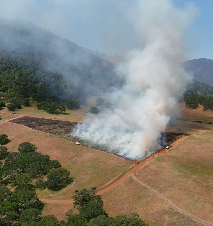 Prescribed Fire at Mount Diablo