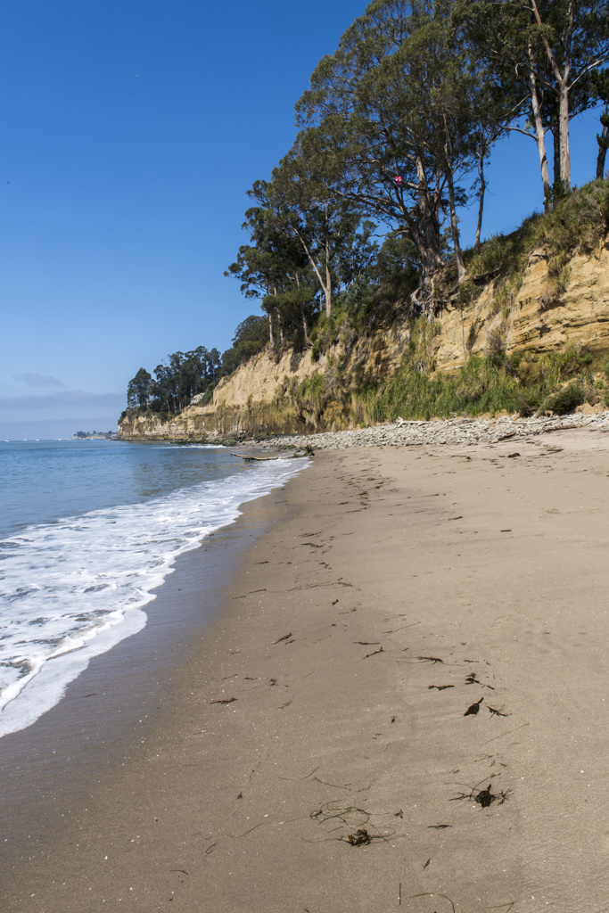 New Brighton Beach State Campground in California