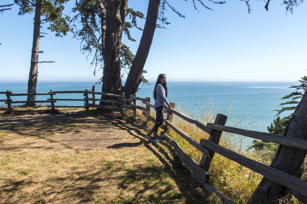 New Brighton Beach State Campground in California