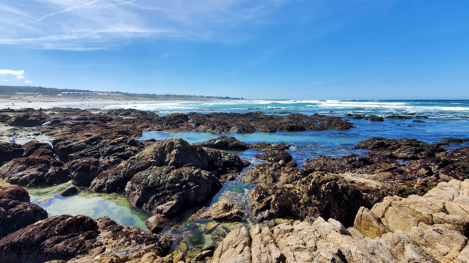 Asilomar State Beach