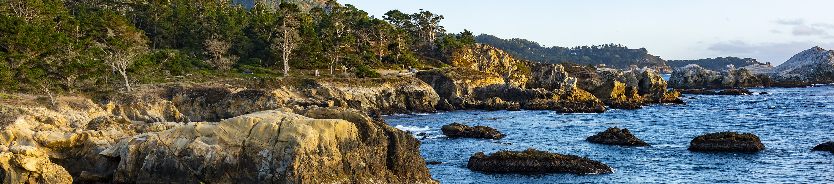 Point Lobos State Natural Reserve