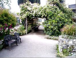 Garden,botanical gardens